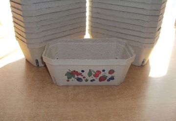 Pojemniki Opakowania Na Maliny Borówki 0,5kg 100sz