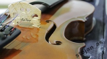 Красивая СКРИПКА 3/4, НЕМЕЦКОЕ КАЧЕСТВО, Набор.