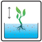 Мицелий микоризы для черники Родовит Симбиом