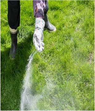 Удобрение для газона Ковровое покрытие быстрого эффекта AGRECOL 10кг