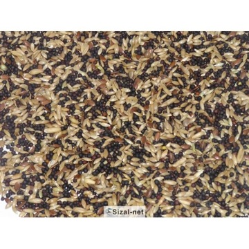 Karma Deli nature M-50 1 kg kanarek