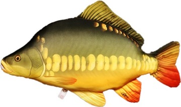 Antylaergiczna PODUSZKA KARP Jak Żywy 61 cm.