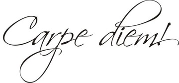 Napis na ścianę naklejka cytat - Carpe diem - 94