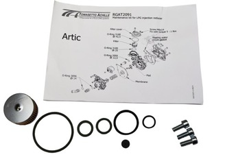 РЕМКОМПЛЕКТ РЕДУКТОРА TOMASETTO ARTIC AT-09