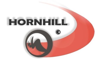 Hornhill Pag мужские шорты с карманами XL
