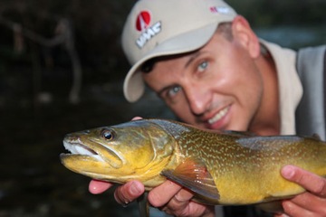 10 X KOTWICZKA BEZZADZIOROWA VMC 9648 BZ Nr.8