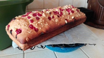 ПИЦЦА ХЛЕБ ПЕЧЬ ОТ ROMA WOOD