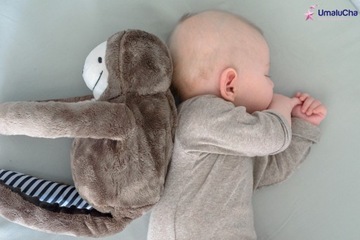 WHISBEAR E-ZZY SNOISING SLOTH MIS CRY ДАТЧИК