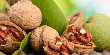 КУТИЯ из органической пшеницы с домашними сухофруктами и орехами