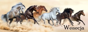 БОЛЬШАЯ СУМКА С КЛАПАНОМ A4 HORSE 10 DURABLE COLORFUL