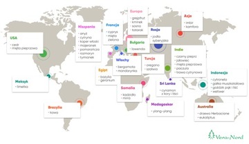 Вера Норд - функциональный вечер без масла и комаров