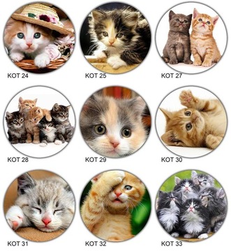 ВОЛНЫ для торта КОТЫ, диаметр 20 см, плотные, насыщенные цвета.
