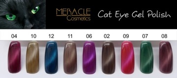 Магнит для гель-лака CAT EYE/косметический магнит MERACLE