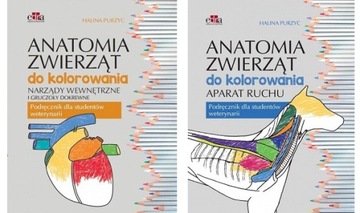 Anatomia zwierząt do kolorowania kolorowanki