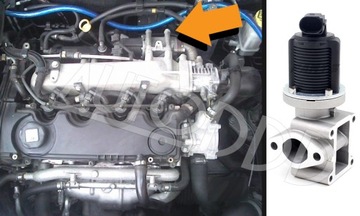 4 Прокладка EGR ALFA FIAT LANCIA OPEL 1.9 2.4 JTDM