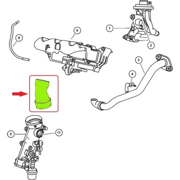 ШЛАНГ ТУРБОИНТЕРКУЛЕРА CHRYSLER A6640980083