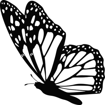 Naklejka dekoracyjna na ścianę MOTYL z motylami do sypialni dziecka 35 cm
