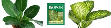 САЛФЕТКИ BIOPON LEAF CARE ДЛЯ БЛЕСКАНИЯ