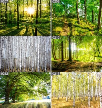 Плакат постер ЛЕСНЫЕ ДЕРЕВЬЯ мост 100х70 максимальный выбор