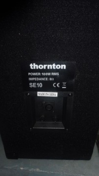КОЛОНКА АКУСТИЧЕСКАЯ THORNTON SE10 100W