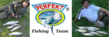 5 CREME LURE LIT'L FISHIE KNIGHT 92 PAST RUBBER