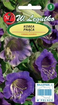 Kobea Purple Creep, семена винограда, 6 шт.