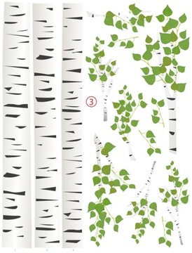 Натуральная наклейка БЕРЕЗКИ, дерево 270 см!