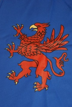 Костюм рыцаря, туника, герб Грифона, большой, возраст 9+