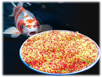 КОРМУШКА ДЛЯ КОРМОВ РЫБ KOI FOOD POND