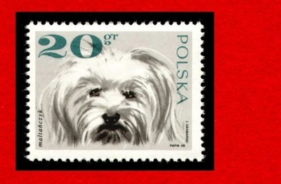 1751 zn cz** 1969 Rasy psow