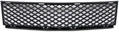 GRILLE IN BUMPER 202427 - milautoparts-fr.ukrlive.com