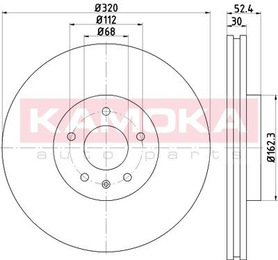 DISQUE DE FREIN PRZED.WENT. 103309 - milautoparts-fr.ukrlive.com