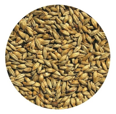 Słód MONACHIJSKI JASNY TYP I Viking Malt 5kg
