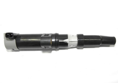 CEWKA 1.6 1.8 2.0 16V ORYGINAŁ LAGUNA II ESPACE IV MEGANE SCENIC CLIO