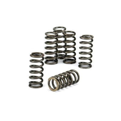 SET SPRING SPRZEGLOWE EBC HONDA CBR GL GSX - milautoparts-fr.ukrlive.com