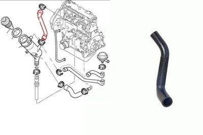 BUSE FIL EMPHYSEME EGR TURBO BERLINGO SCUDO EXPERT DE CHARGEMENT 1.9 ÉTAT NOUVEAU PAS CHER - milautoparts-fr.ukrlive.com