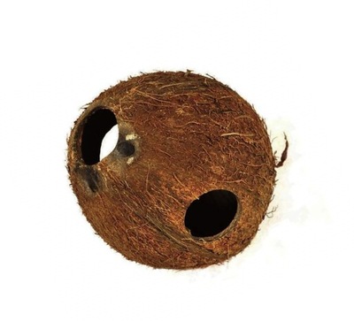 KOKOS - skorupa kokosa nieszczotkowana - kryjówka