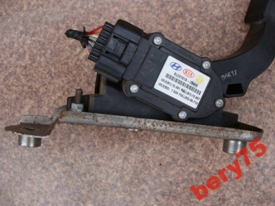 HYUNDAI SANTA FE 09R POTENTIOMETER GAS 2,2CRDI - milautoparts-fr.ukrlive.com