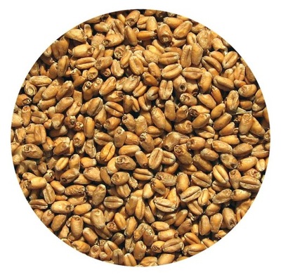 Słód PSZENICZNY 25 kg Viking Malt