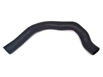 GT-BERGMANN GT50508081 CABLE ELASTIC - milautoparts-fr.ukrlive.com