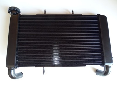 HONDA CBR650F CB650F ÉTAT NOUVEAU ORIGINAL RADIATEUR EAUX - milautoparts-fr.ukrlive.com