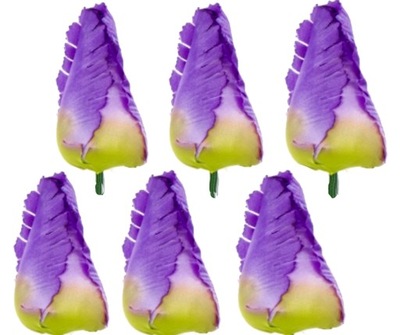 TULIPAN GŁÓWKA NA PIKU VIOLET GREEN TULIPANY 6szt