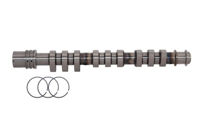 ARBRE MÉCANISME DE DISTRUBUTION DE GAZ 06C109021F AUDI A6 CYL. 1-3 D'ENTRÉE - milautoparts-fr.ukrlive.com