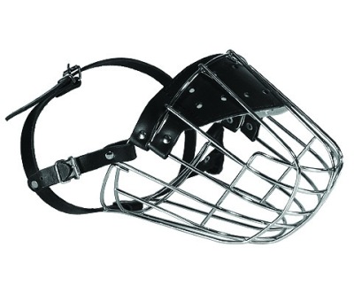 DINO KAGANIEC METALOWY DLA PSA BERNARDYN 12