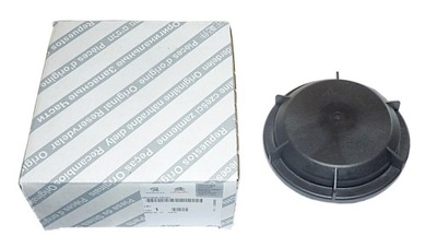 COVERING CAP LAMPS DUCATO JUMPER BOXER 06- - milautoparts-fr.ukrlive.com