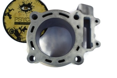 Cylinder NICASIL HONDA CRF 250 R 04-09