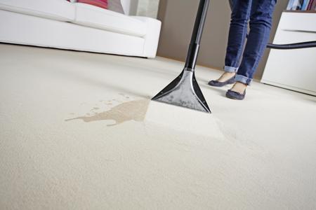 Karcher RM 763 CarpetPro Кондиционер для белья