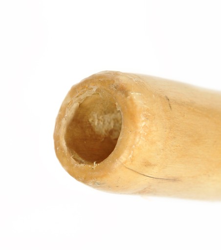 didgeridoo eukaliptusowe oryginalne od e-djembe 150 cm pokrowiec