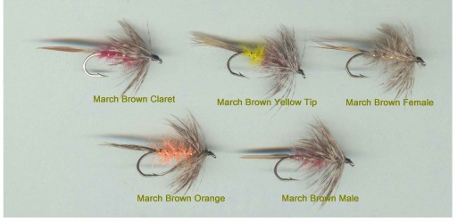 Набор галстуков-бабочек MARCH BROWN SPIDER10шт#8;1012;14