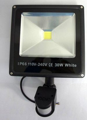 LAMPA HAL-LED 30W+CZUJKA R/ZMIERZCH